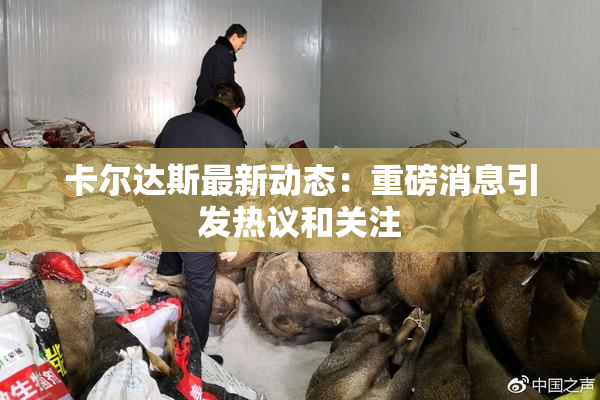 卡尔达斯最新动态：重磅消息引发热议和关注