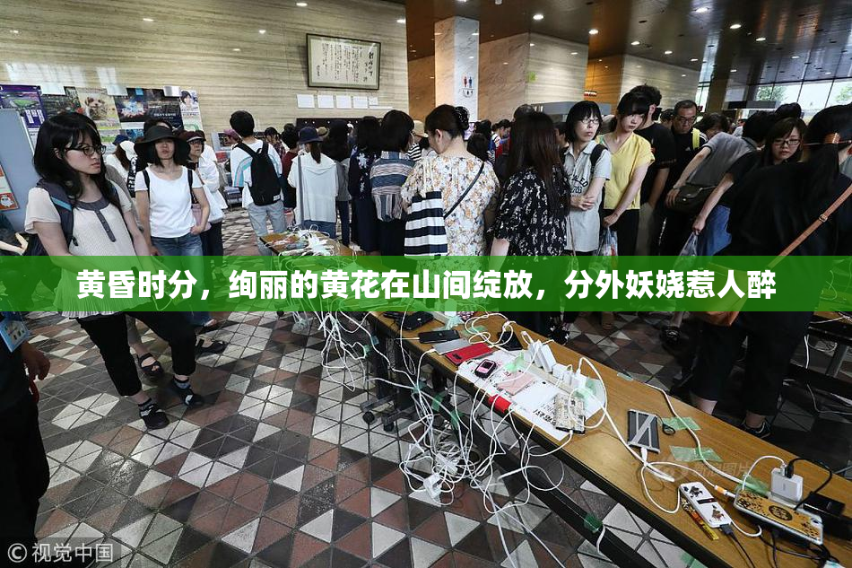 黄昏时分，绚丽的黄花在山间绽放，分外妖娆惹人醉