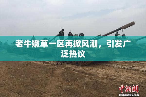 老牛嫩草一区再掀风潮，引发广泛热议