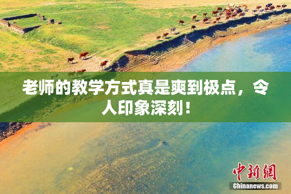 老师的教学方式真是爽到极点，令人印象深刻！
