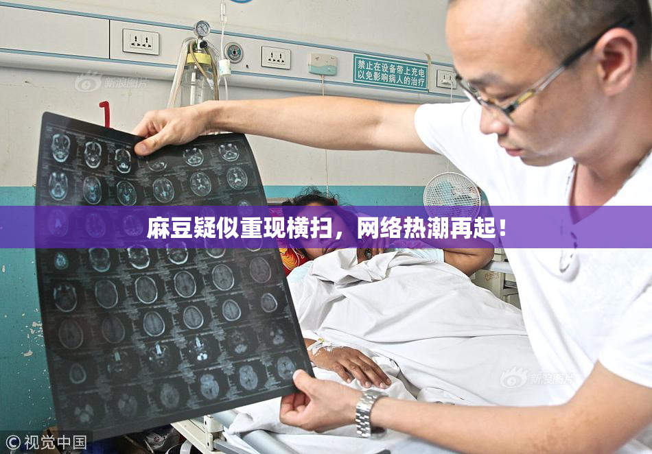 麻豆疑似重现横扫，网络热潮再起！