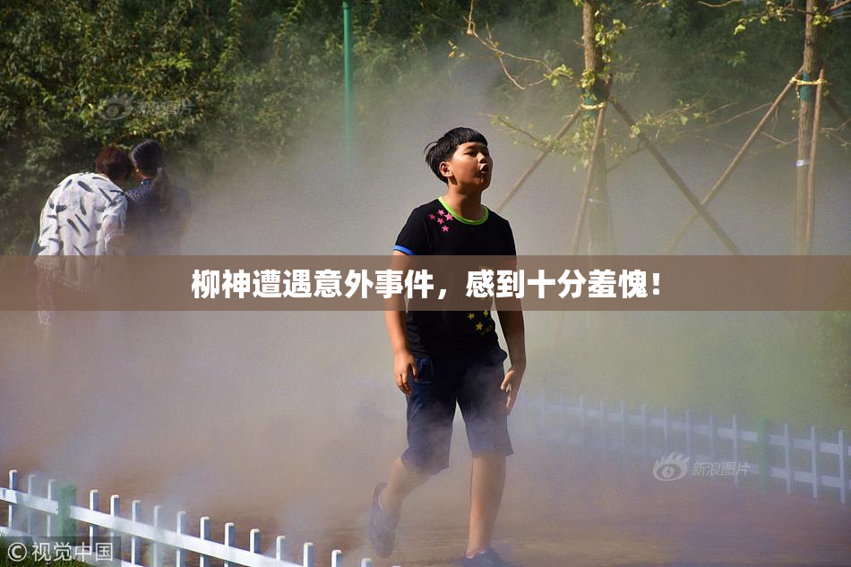 柳神遭遇意外事件，感到十分羞愧！