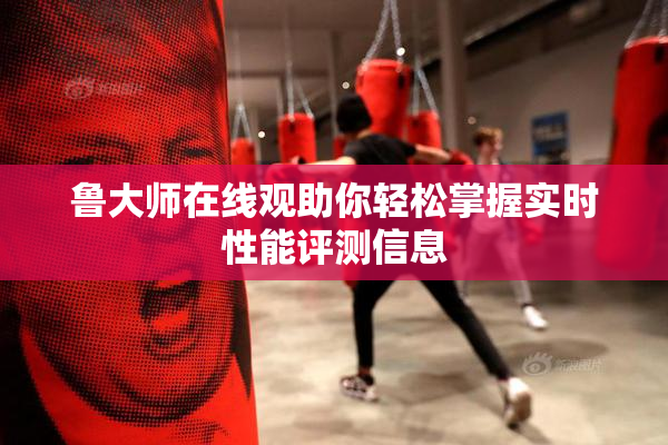 鲁大师在线观助你轻松掌握实时性能评测信息
