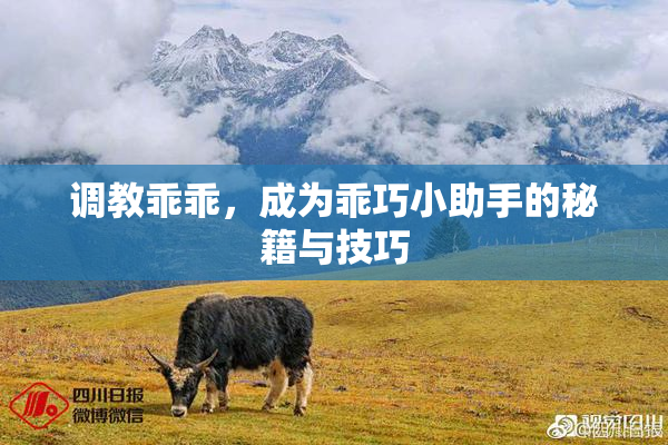调教乖乖，成为乖巧小助手的秘籍与技巧