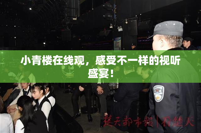 小青楼在线观，感受不一样的视听盛宴！