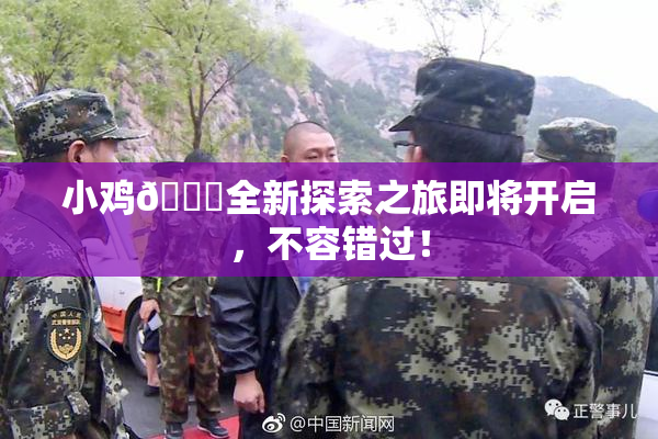 小鸡🐔全新探索之旅即将开启，不容错过！