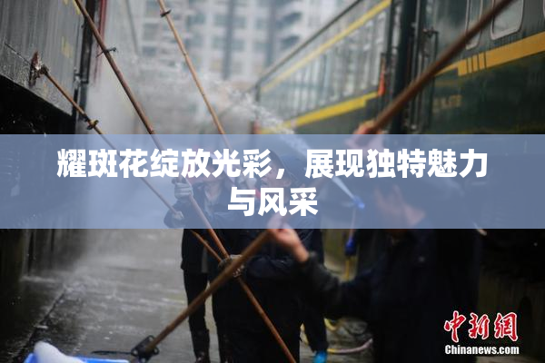 耀斑花绽放光彩，展现独特魅力与风采