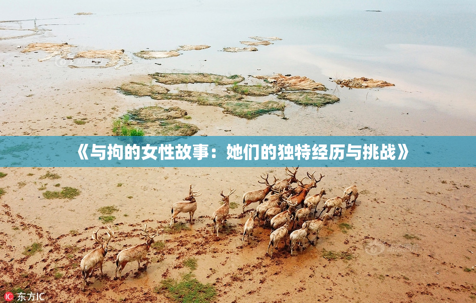 《与拘的女性故事：她们的独特经历与挑战》