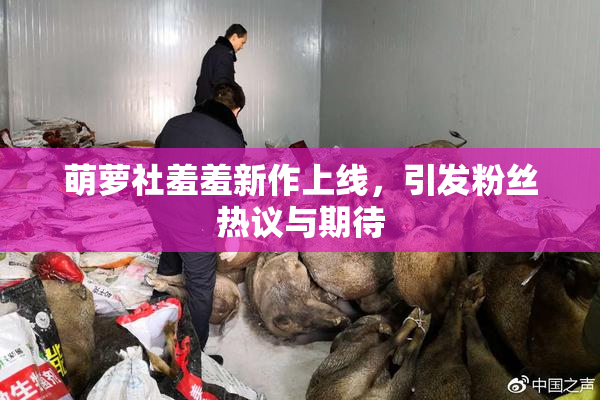 萌萝社羞羞新作上线，引发粉丝热议与期待