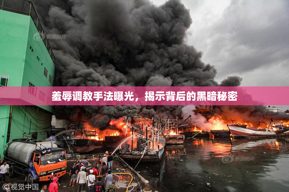 羞辱调教手法曝光，揭示背后的黑暗秘密