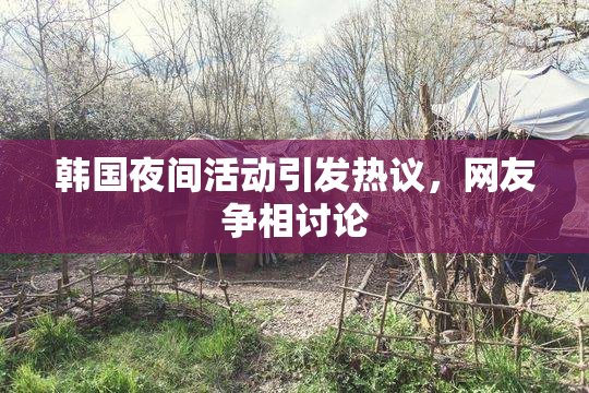 韩国夜间活动引发热议，网友争相讨论