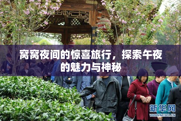 窝窝夜间的惊喜旅行，探索午夜的魅力与神秘