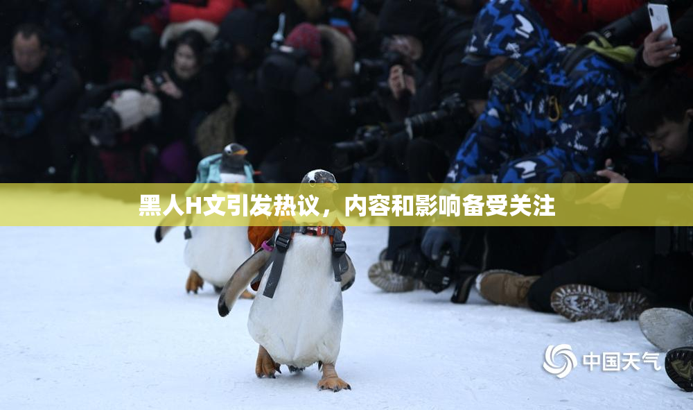 黑人H文引发热议，内容和影响备受关注