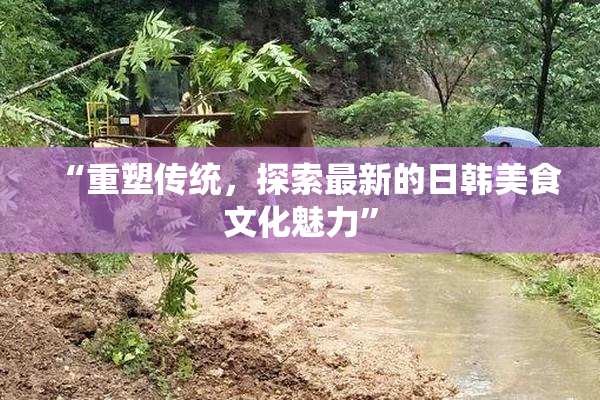 “重塑传统，探索最新的日韩美食文化魅力”