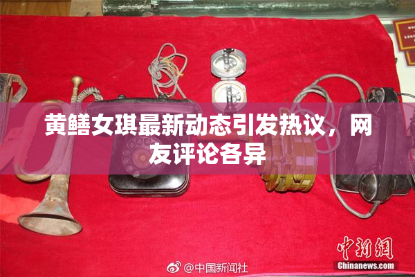 黄鳝女琪最新动态引发热议，网友评论各异