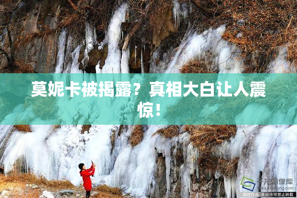 莫妮卡被揭露？真相大白让人震惊！