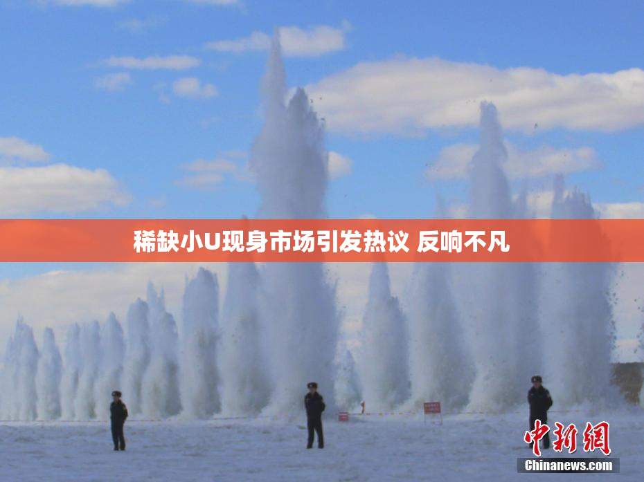稀缺小U现身市场引发热议 反响不凡