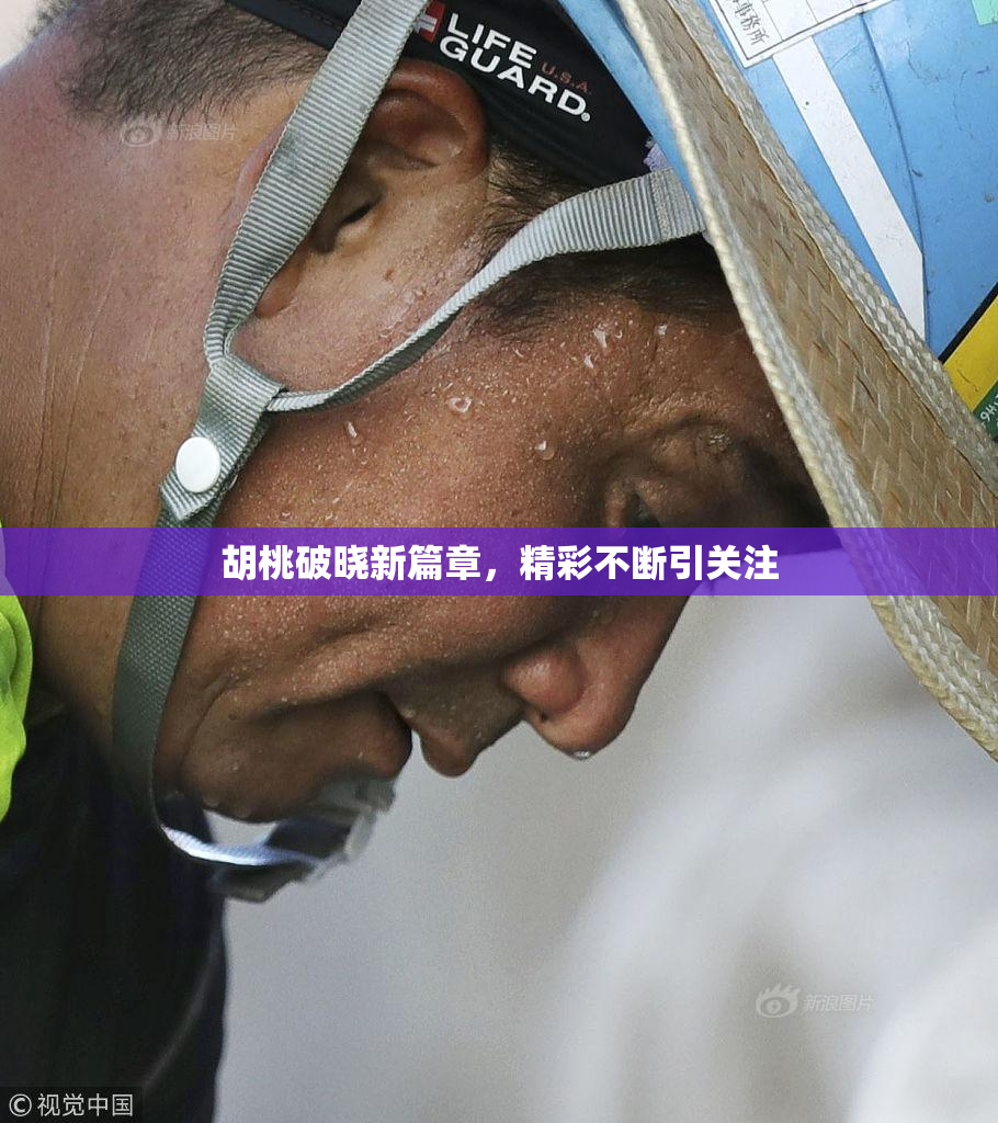 胡桃破晓新篇章，精彩不断引关注