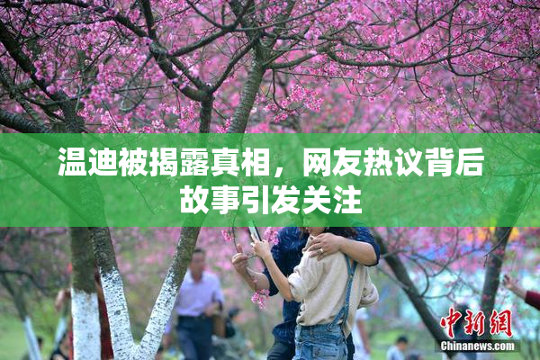 温迪被揭露真相，网友热议背后故事引发关注