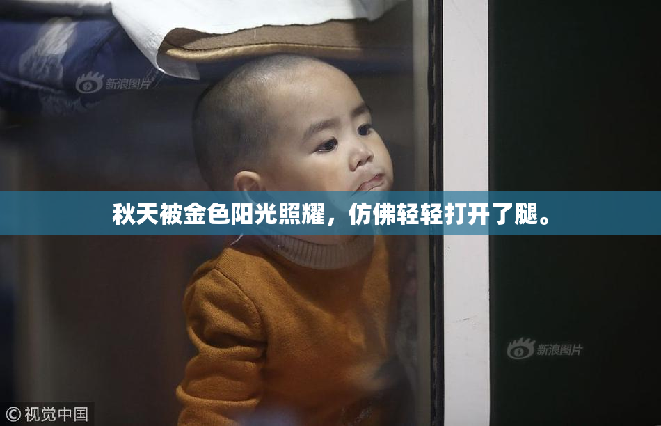 秋天被金色阳光照耀，仿佛轻轻打开了腿。