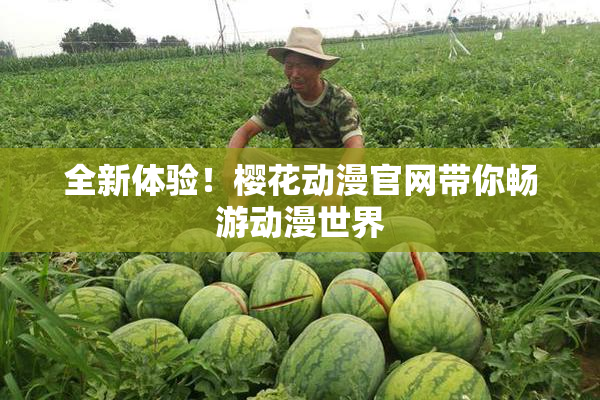 全新体验！樱花动漫官网带你畅游动漫世界