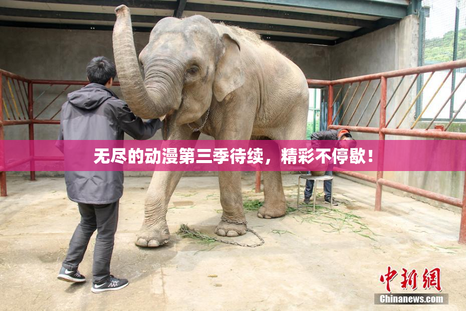 无尽的动漫第三季待续，精彩不停歇！