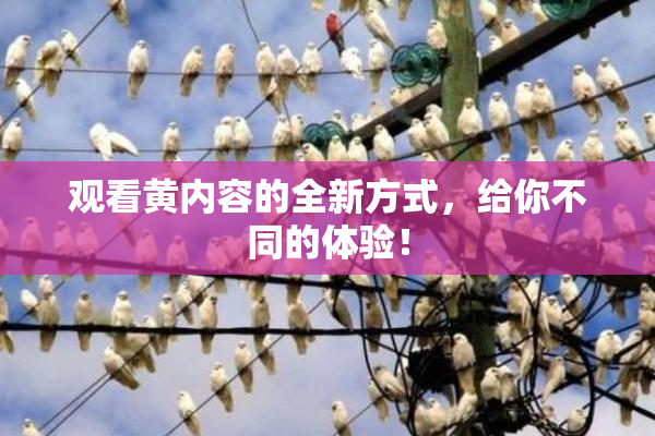 观看黄内容的全新方式，给你不同的体验！