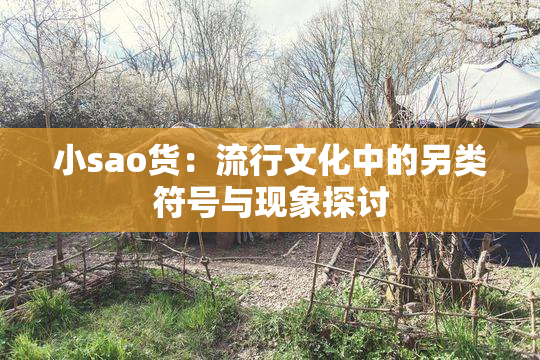 小sao货：流行文化中的另类符号与现象探讨