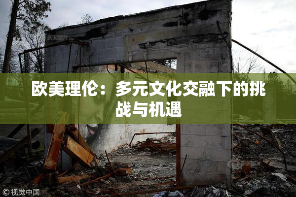 欧美理伦：多元文化交融下的挑战与机遇