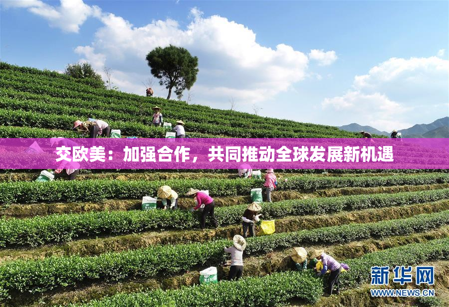 交欧美：加强合作，共同推动全球发展新机遇