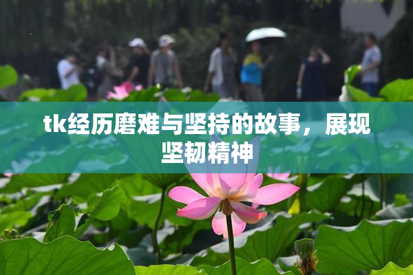 tk经历磨难与坚持的故事，展现坚韧精神