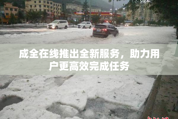 成全在线推出全新服务，助力用户更高效完成任务