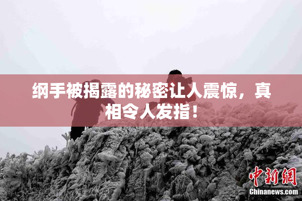 纲手被揭露的秘密让人震惊，真相令人发指！
