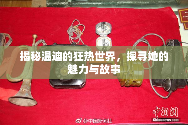 揭秘温迪的狂热世界，探寻她的魅力与故事