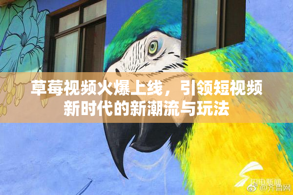 草莓视频火爆上线，引领短视频新时代的新潮流与玩法
