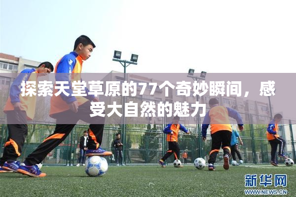 探索天堂草原的77个奇妙瞬间，感受大自然的魅力