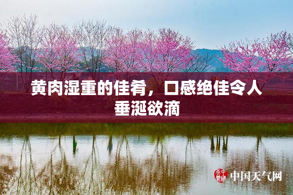 黄肉湿重的佳肴，口感绝佳令人垂涎欲滴