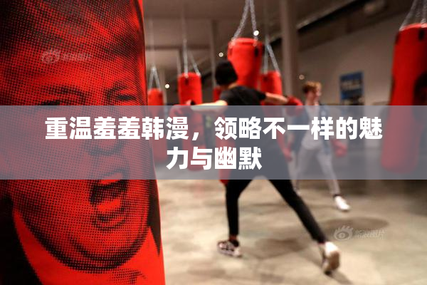 重温羞羞韩漫，领略不一样的魅力与幽默