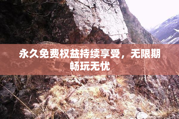 永久免费权益持续享受，无限期畅玩无忧
