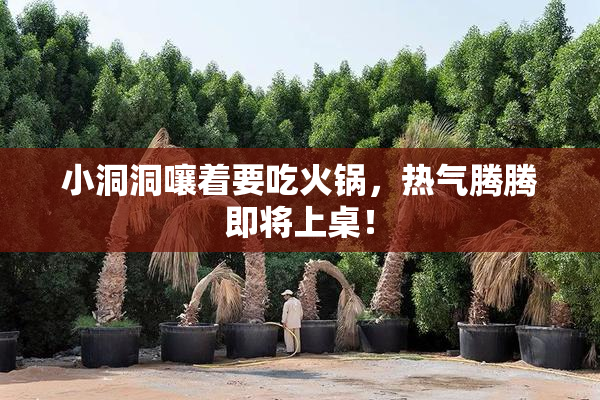 小洞洞嚷着要吃火锅，热气腾腾即将上桌！