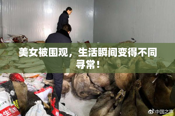 美女被围观，生活瞬间变得不同寻常！