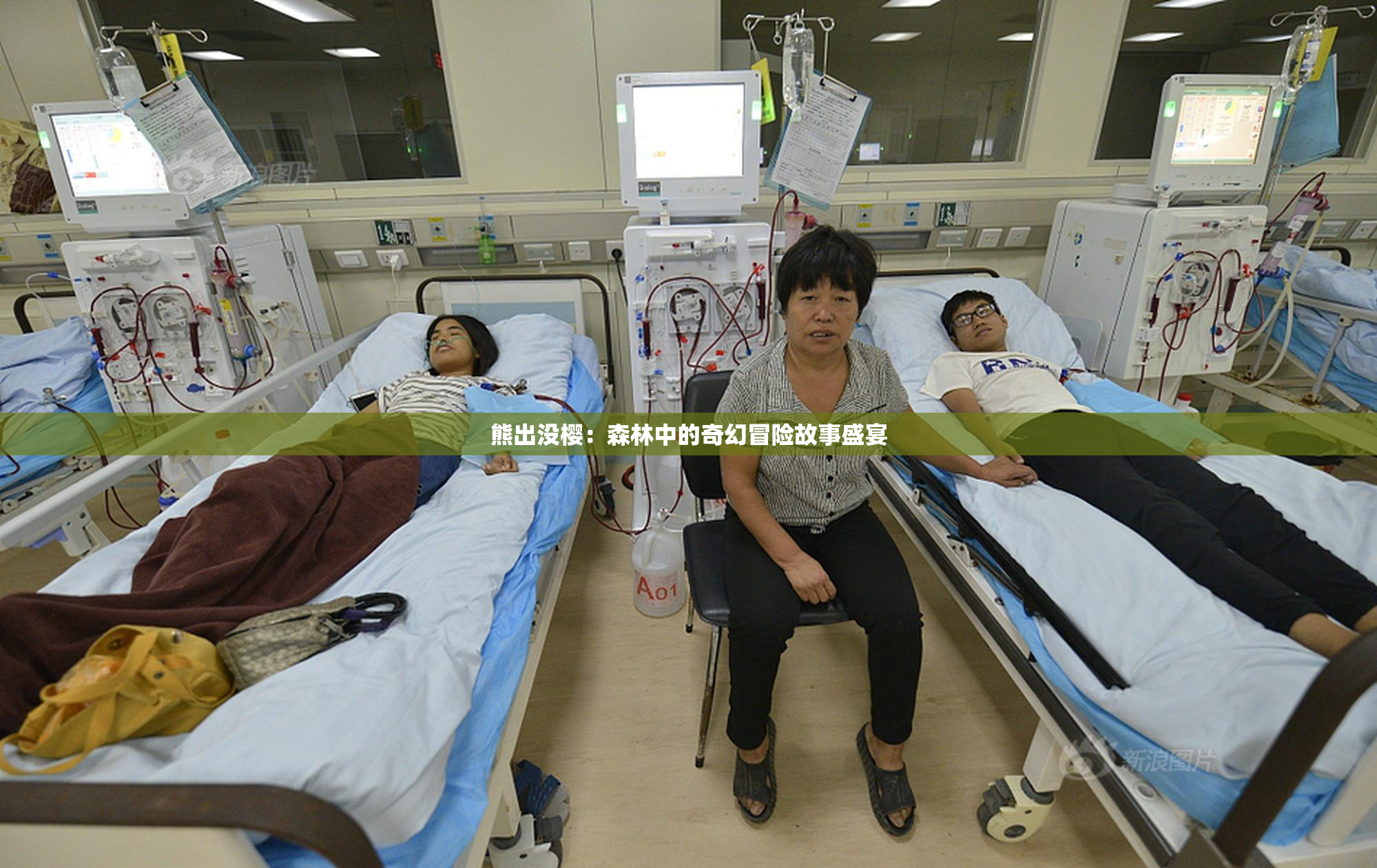 熊出没樱：森林中的奇幻冒险故事盛宴