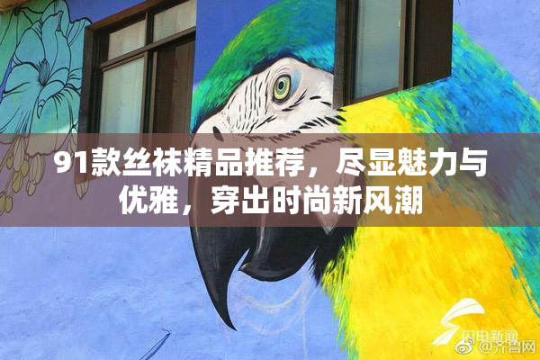 91款丝袜精品推荐，尽显魅力与优雅，穿出时尚新风潮
