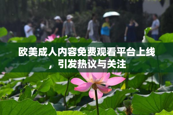 欧美成人内容免费观看平台上线，引发热议与关注