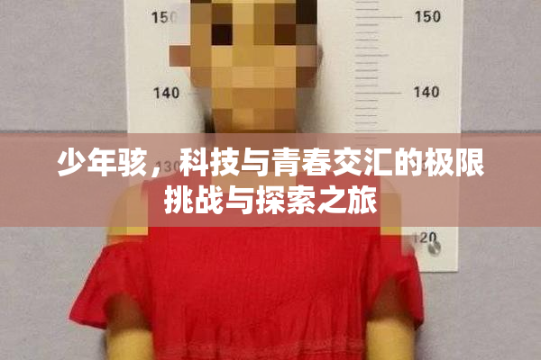 少年骇，科技与青春交汇的极限挑战与探索之旅