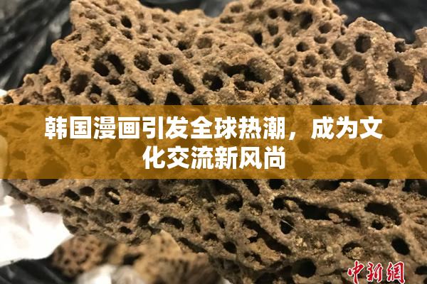 韩国漫画引发全球热潮，成为文化交流新风尚