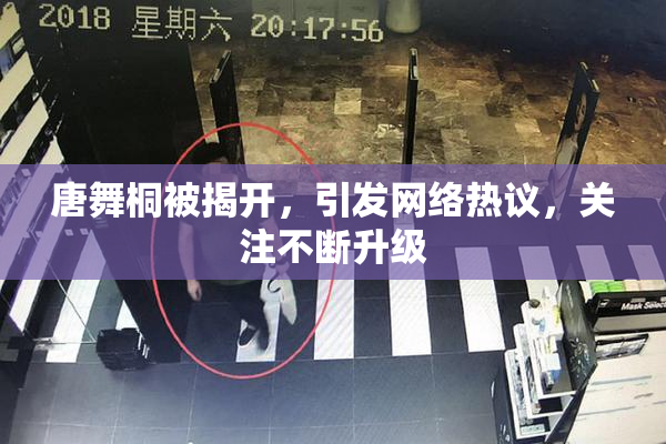 唐舞桐被揭开，引发网络热议，关注不断升级