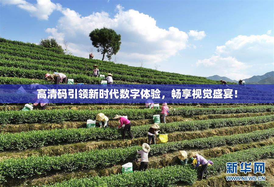 高清码引领新时代数字体验，畅享视觉盛宴！