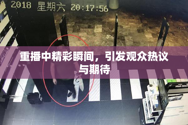 重播中精彩瞬间，引发观众热议与期待