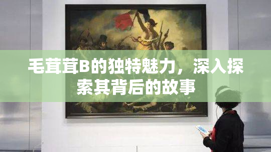 毛茸茸B的独特魅力，深入探索其背后的故事